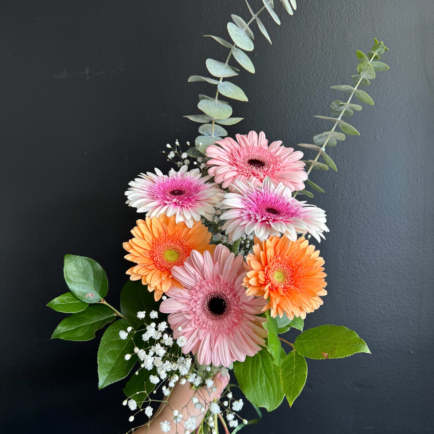 Gerberas and eucalyptus