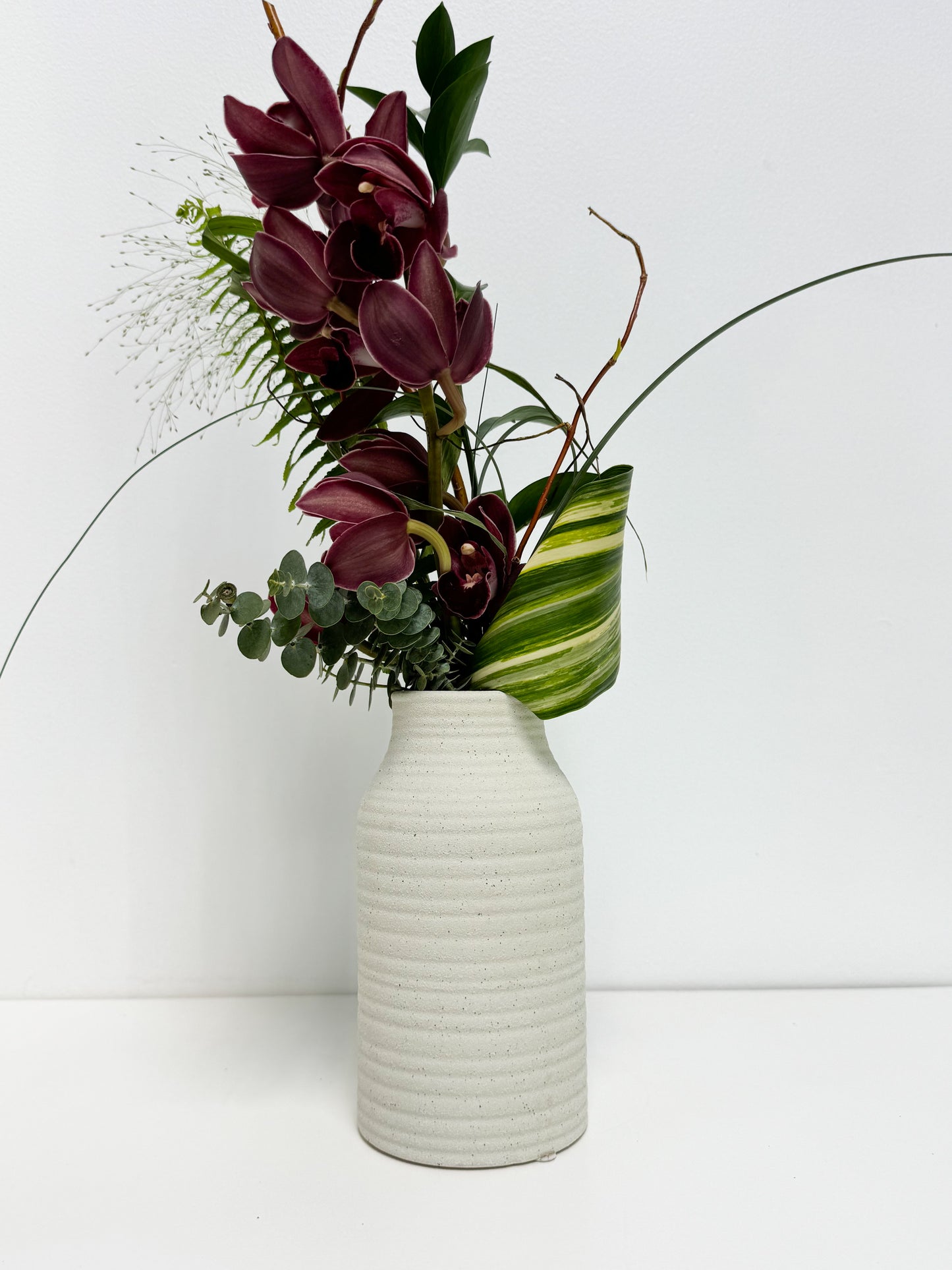 Cymbidium d’Hollande en vase céramique