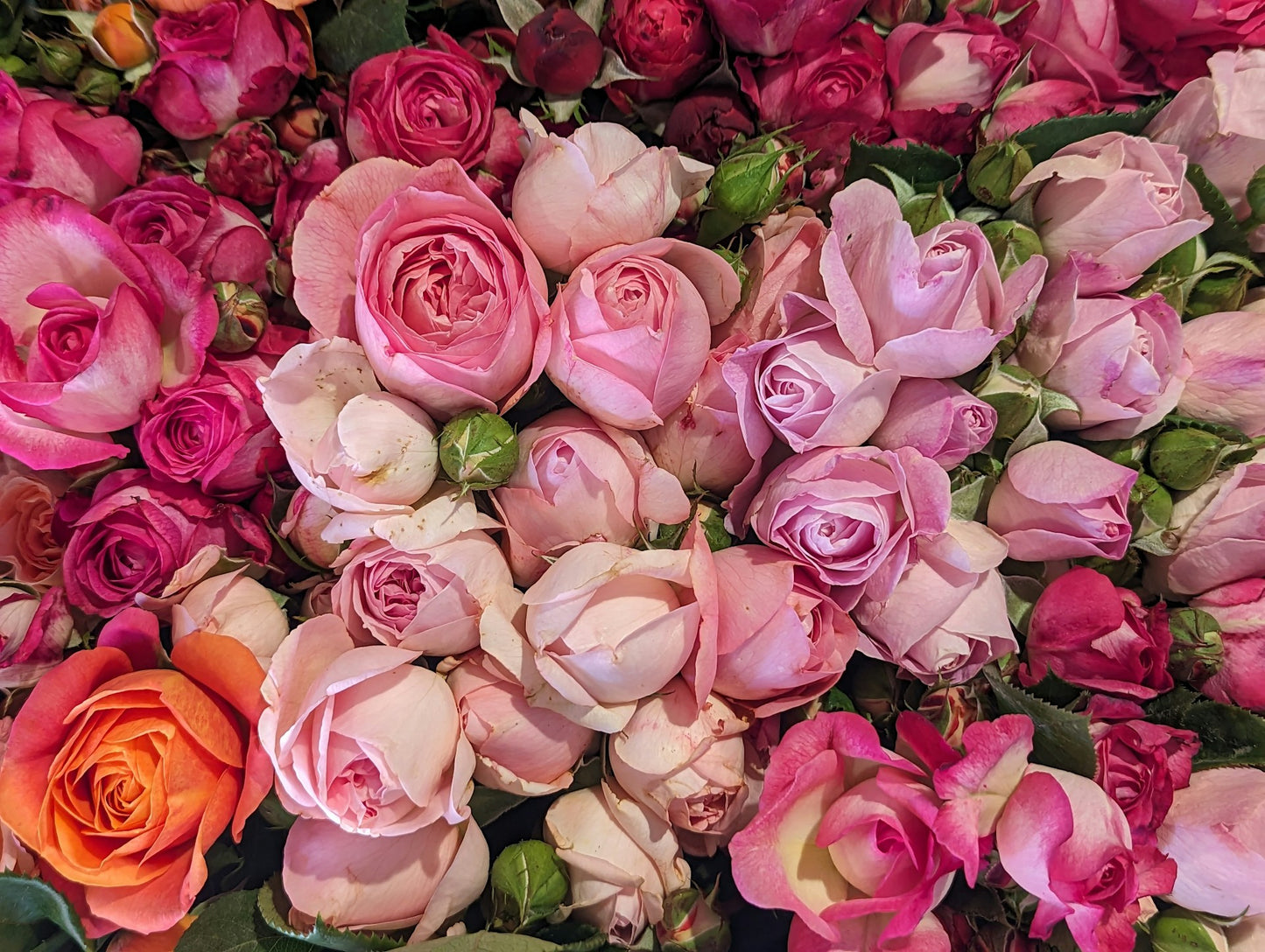 Bouquet de roses