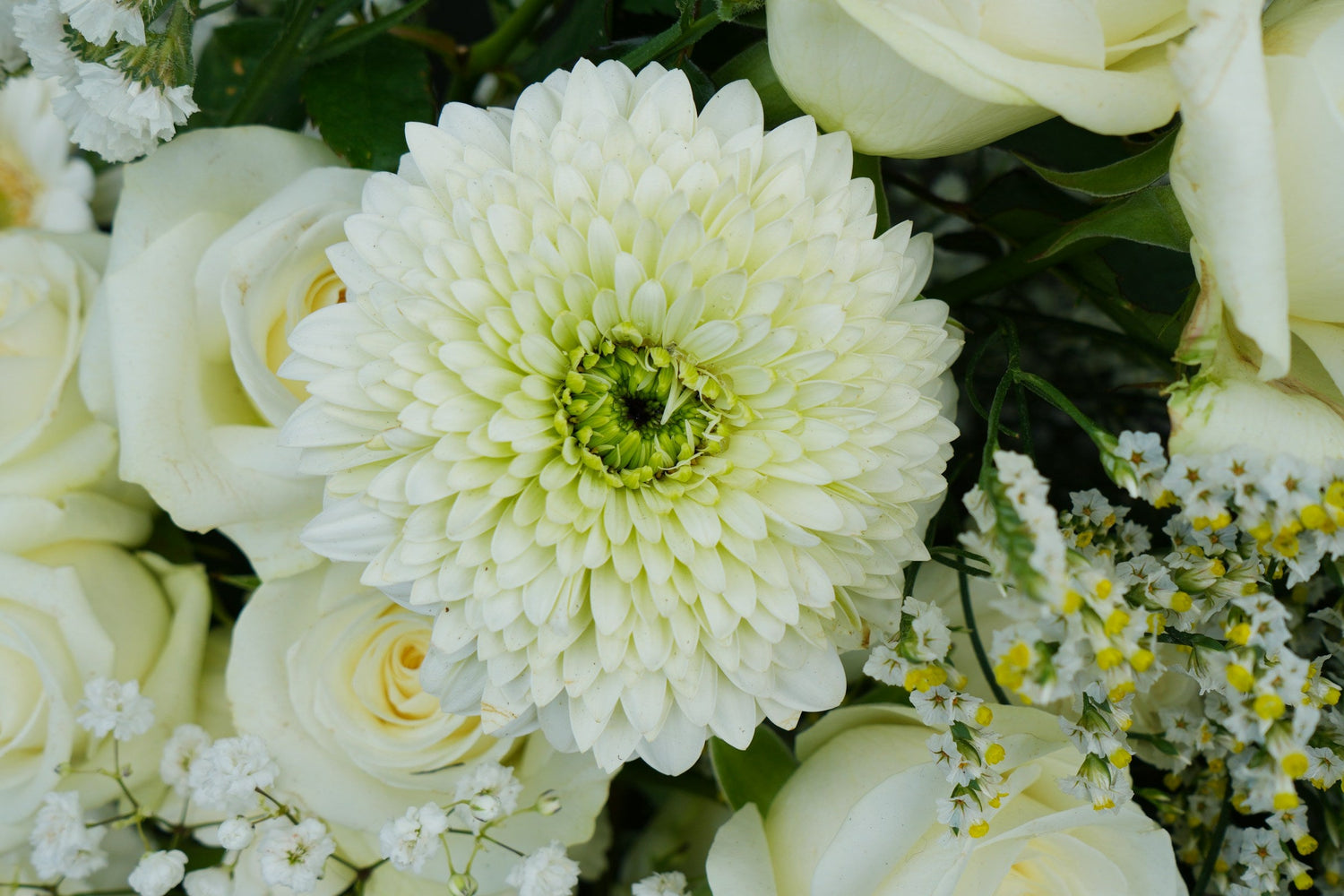 Arrangements d'urnes