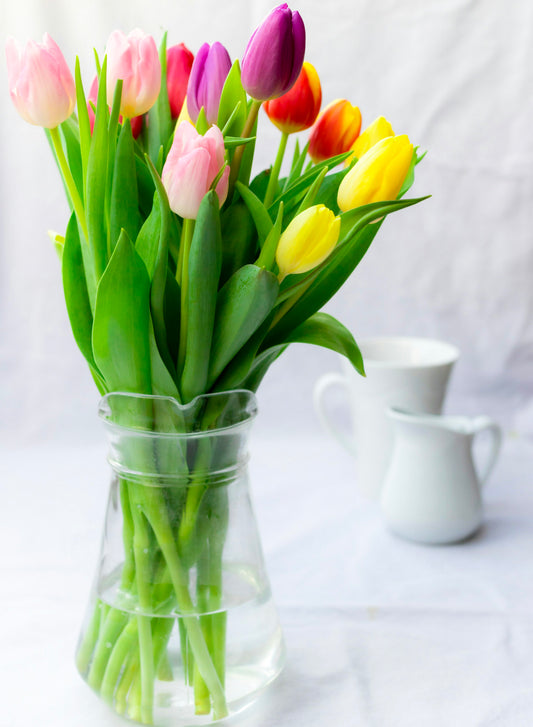Tendresse de tulipes