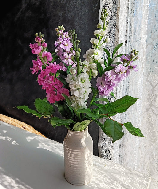 Murmure de giroflées en vase