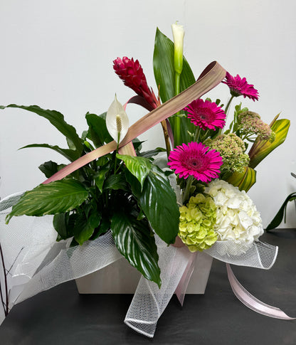 Plantes et fleurs