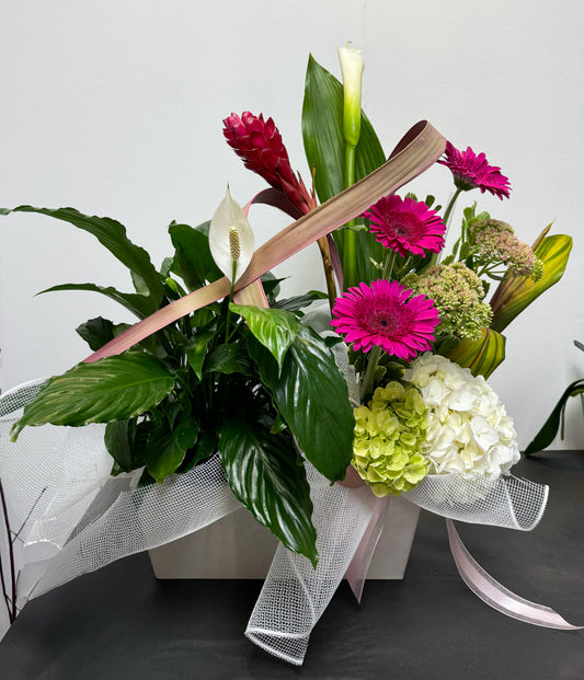 Plantes et fleurs