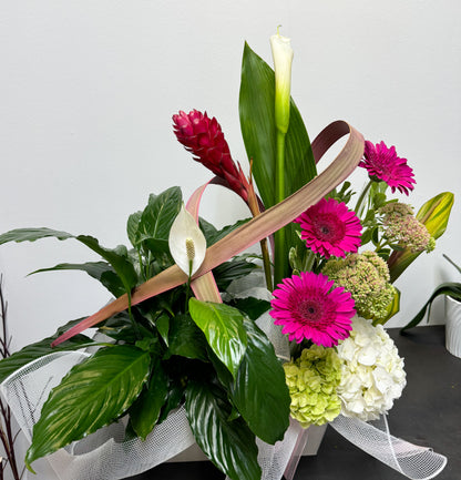 Plantes et fleurs