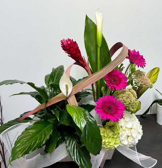 Plantes et fleurs