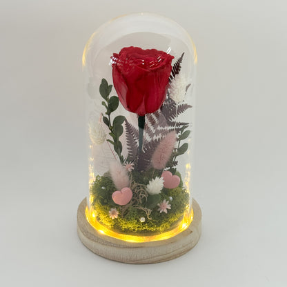Éclat d’Amour - Rose éternelle et fleurs séchées en cloche