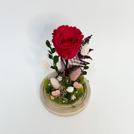 Éclat d’Amour - Rose éternelle et fleurs séchées en cloche