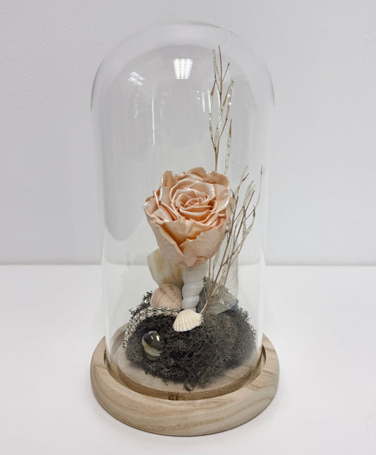 Rose éternelle - Fleur encoquillée