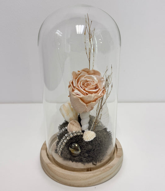 Rose éternelle - Fleur encoquillée
