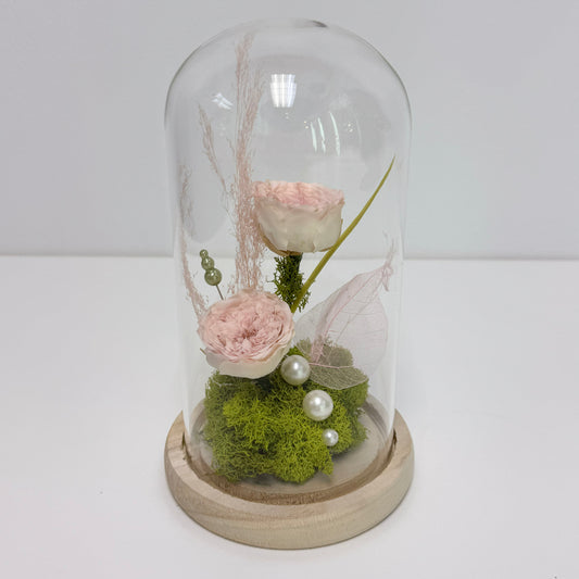 Rose éternelle - Souvenir de pétales