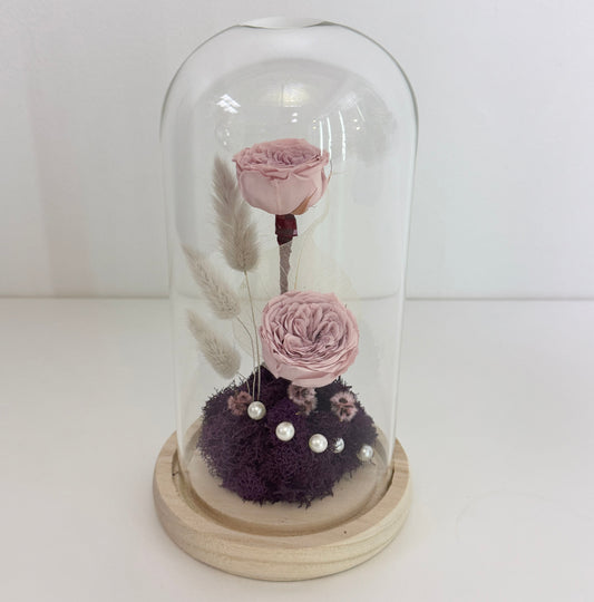 Rose éternelle - Rêverie lilas