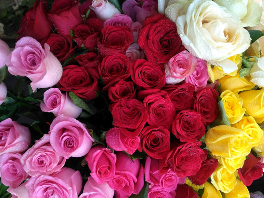 ROSES COLORÉES