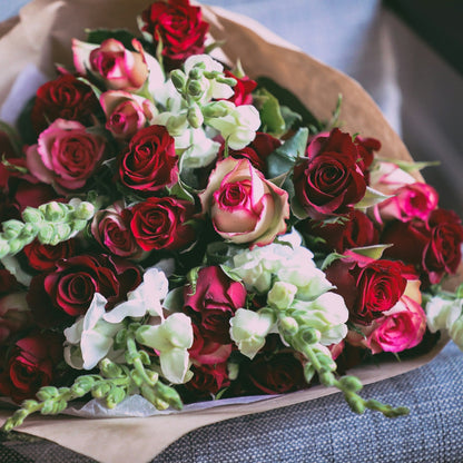 Renoir - La Tendresse