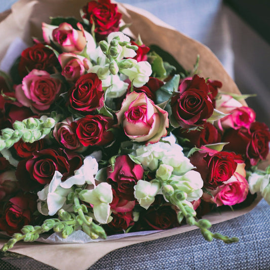 Renoir - La Tendresse